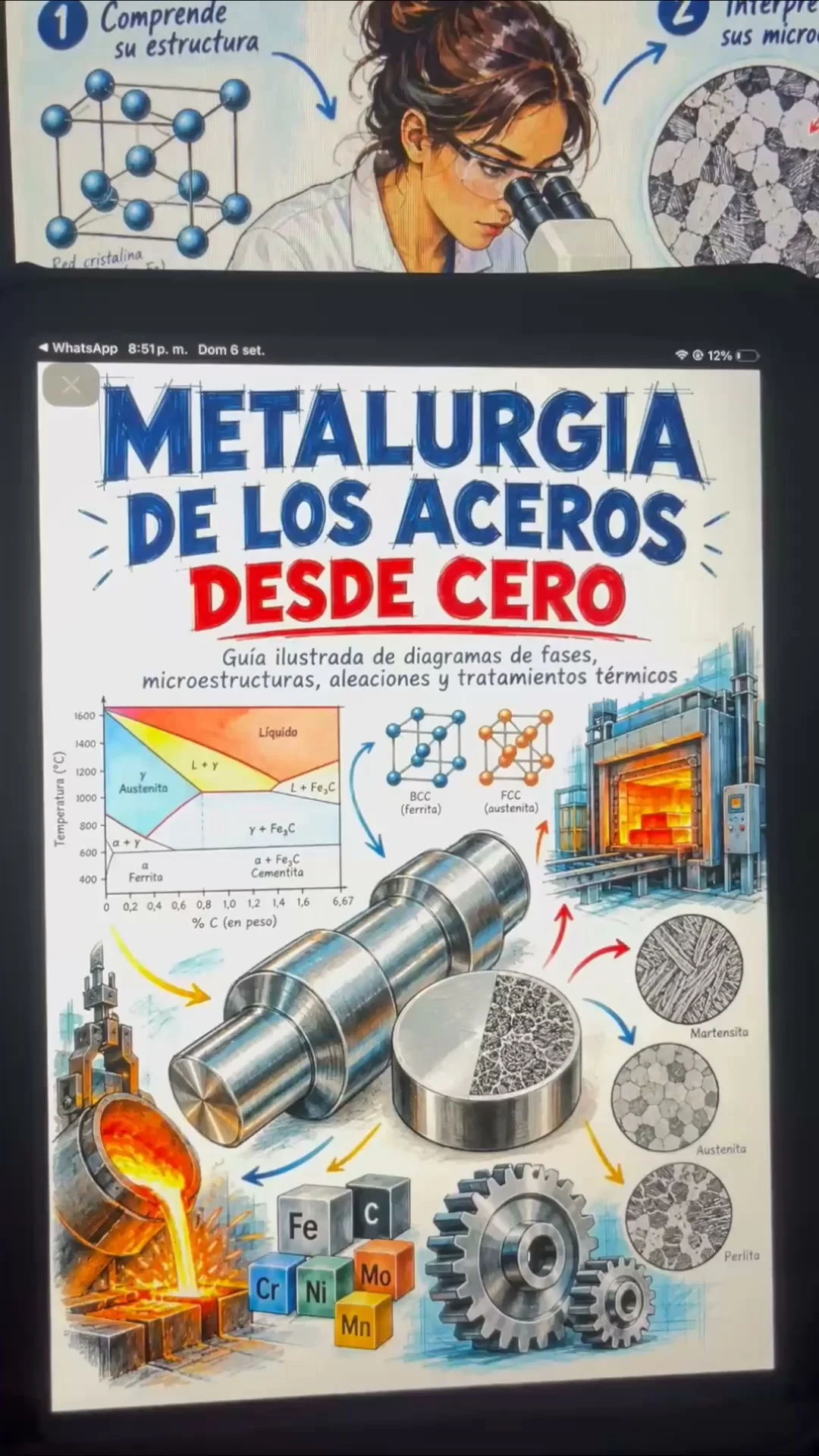 Guía digital: Metalurgia de los Aceros desde cero